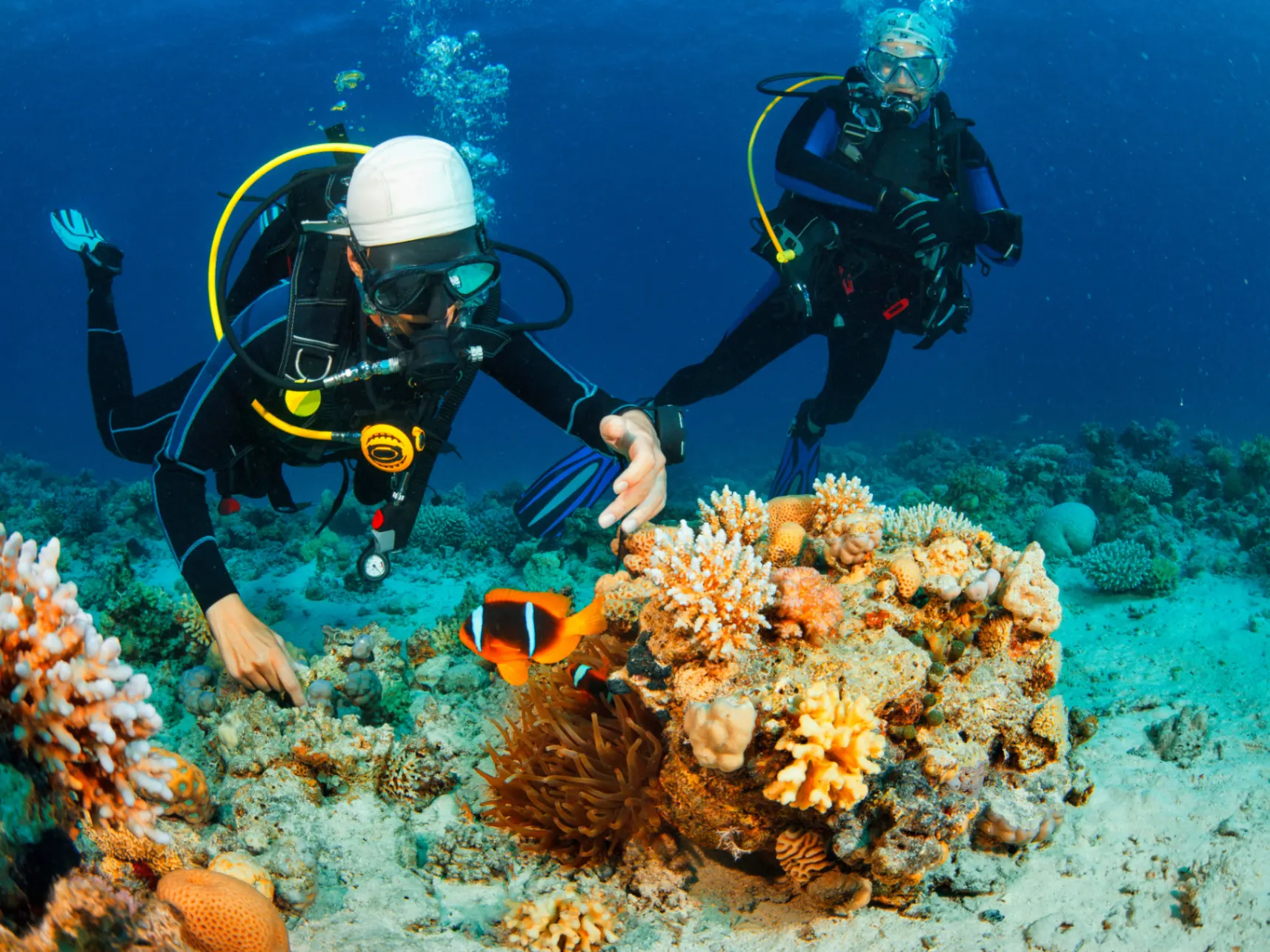 Underwater photos and video of every dive, raw footage yours to keep