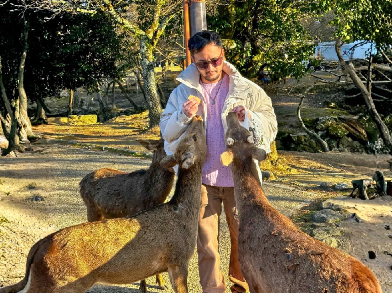 Meet the Deers of Nara and One Last stroll, One last sip!