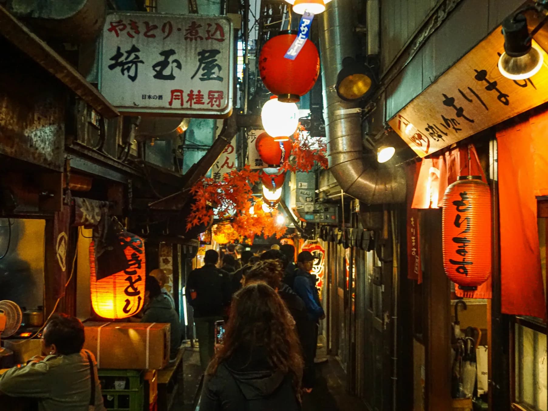 Shinjuku Izakaya Crawl - Alleyways, Sips, Stories