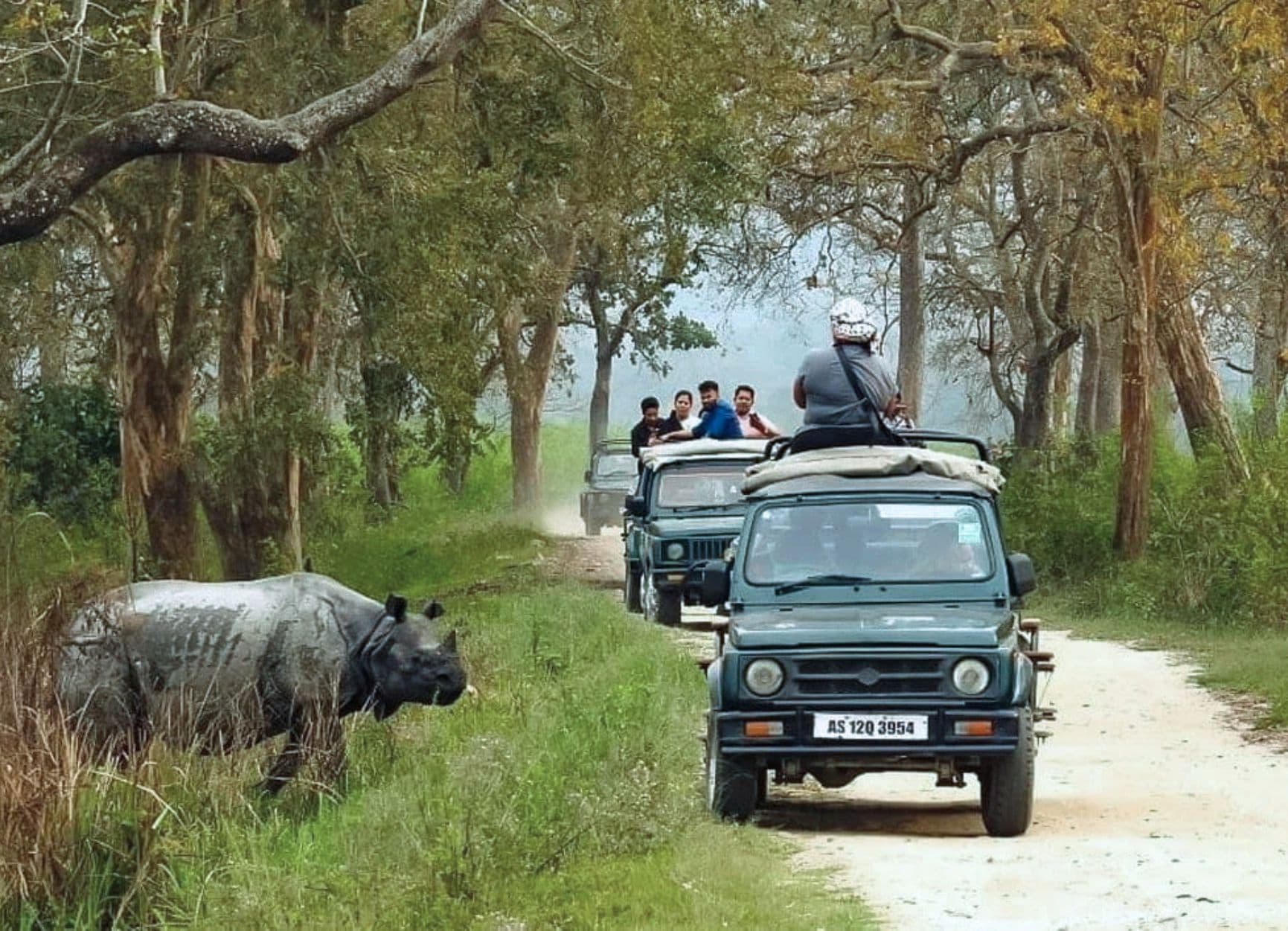 Jeeps & Rhinos