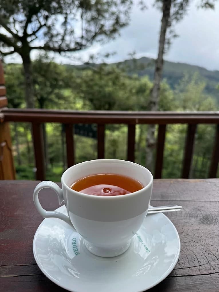 Tea in your hands, then stillness
