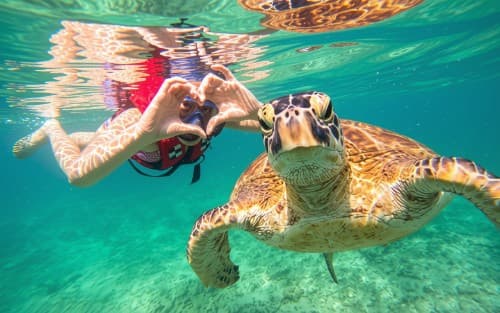 Turtle reef snorkel off Mirissa