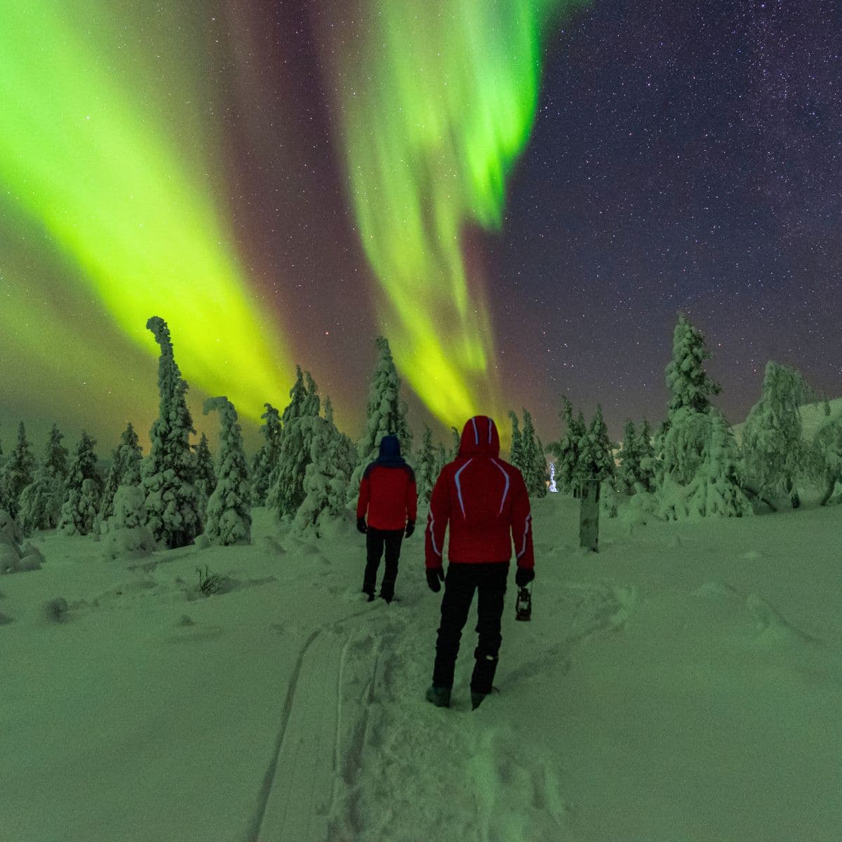 Chase the Northern Lights