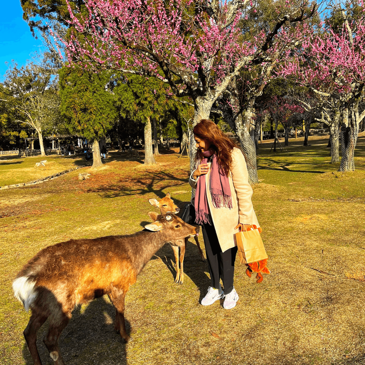 Meet the Deers of Nara and One Last stroll, One last sip!
